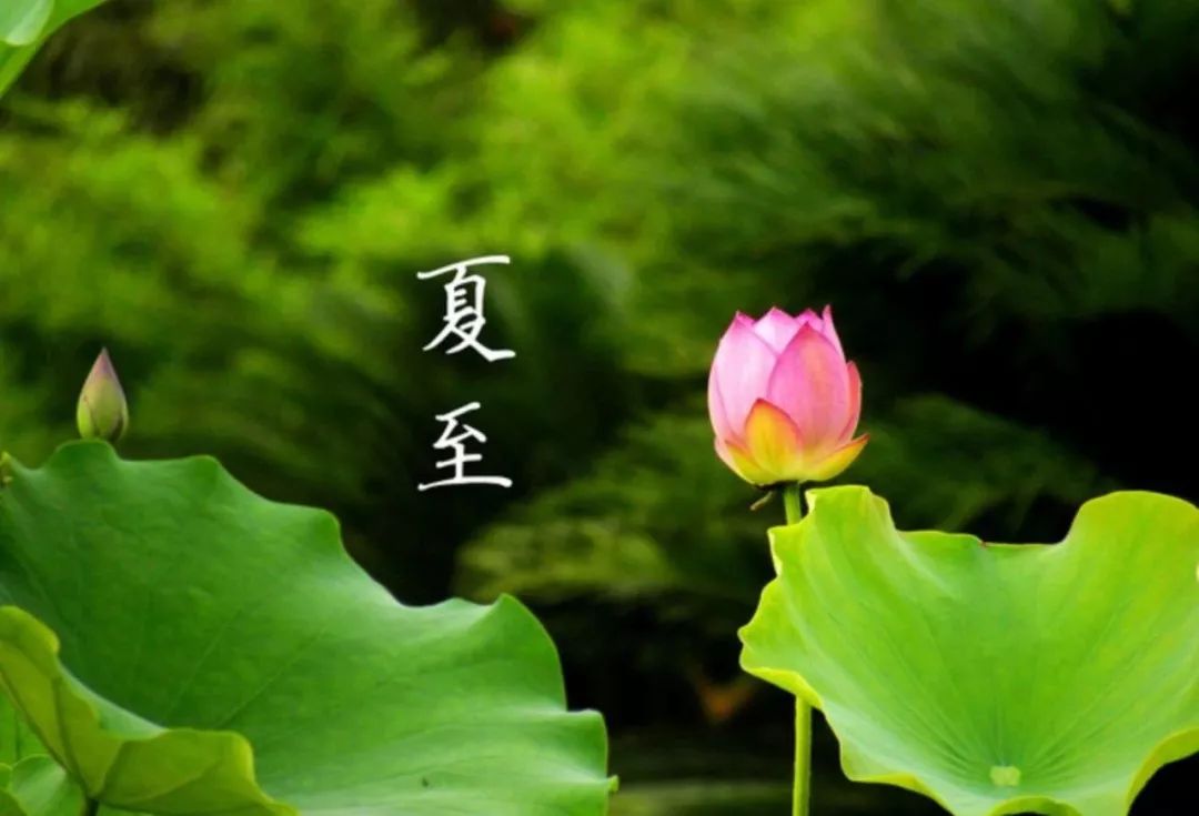 今日夏至最长的白昼过后想你的夜会越来越长