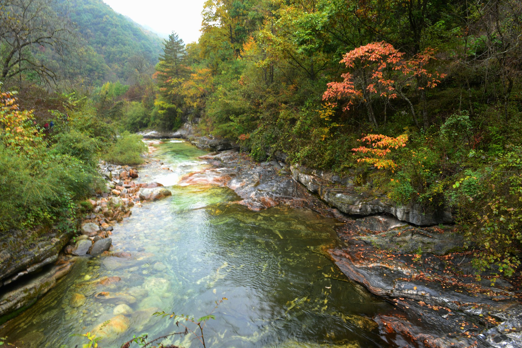 层林浸染,五彩斑斓,柔水碧潭,黄柏塬赏枫跌落仙境间