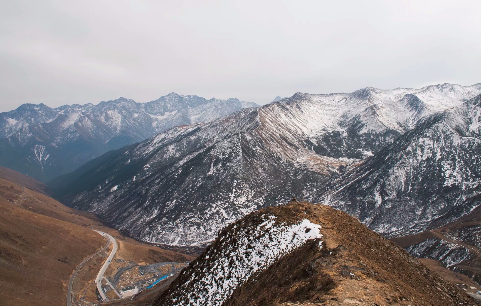 巴郎山--熊猫王国之巅|巴郎山|熊猫|巴朗山_新浪新闻