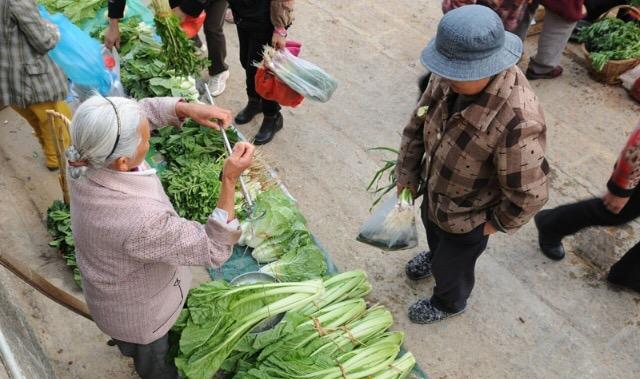 和婆婆赶集买菜,成功还价后,再次惹怒卖菜人