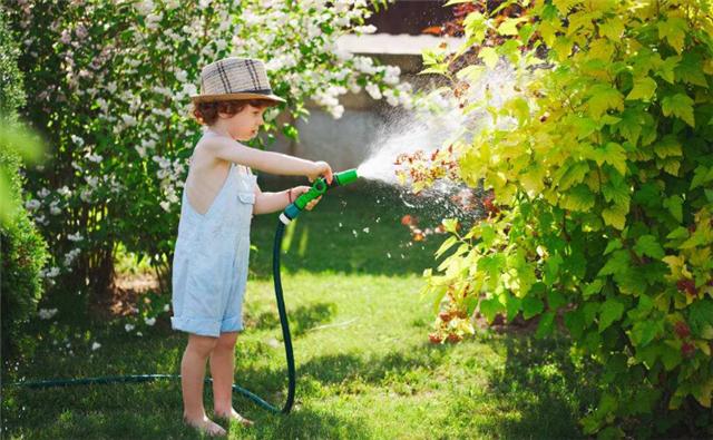 用这些水浇花,再也不用为花儿施肥了