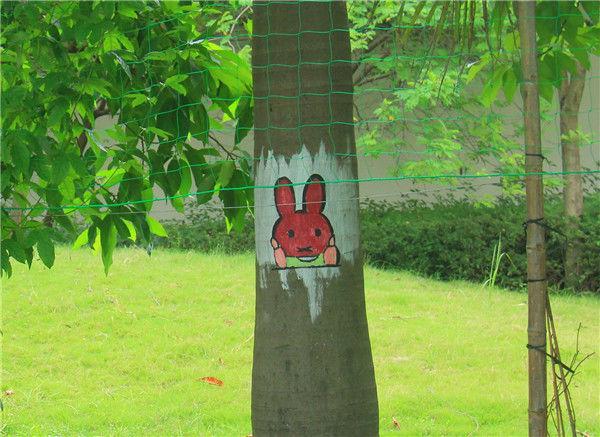 中国人喜欢"到此一游",这里却鼓励游客"到此一画"!