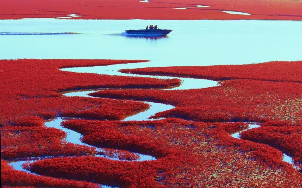 红色的大海海水图片