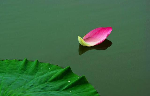 当下即是本来面目,清净,自在,无染,永恒,纯粹"大光明"