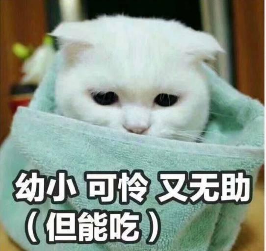 开心一笑:早上送儿子去幼儿园,他闹脾气赖在门口不肯进去