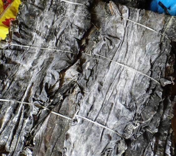 海带中含有丰富的岩藻多糖,昆布素,这些物质既能预防血栓,又能抑制