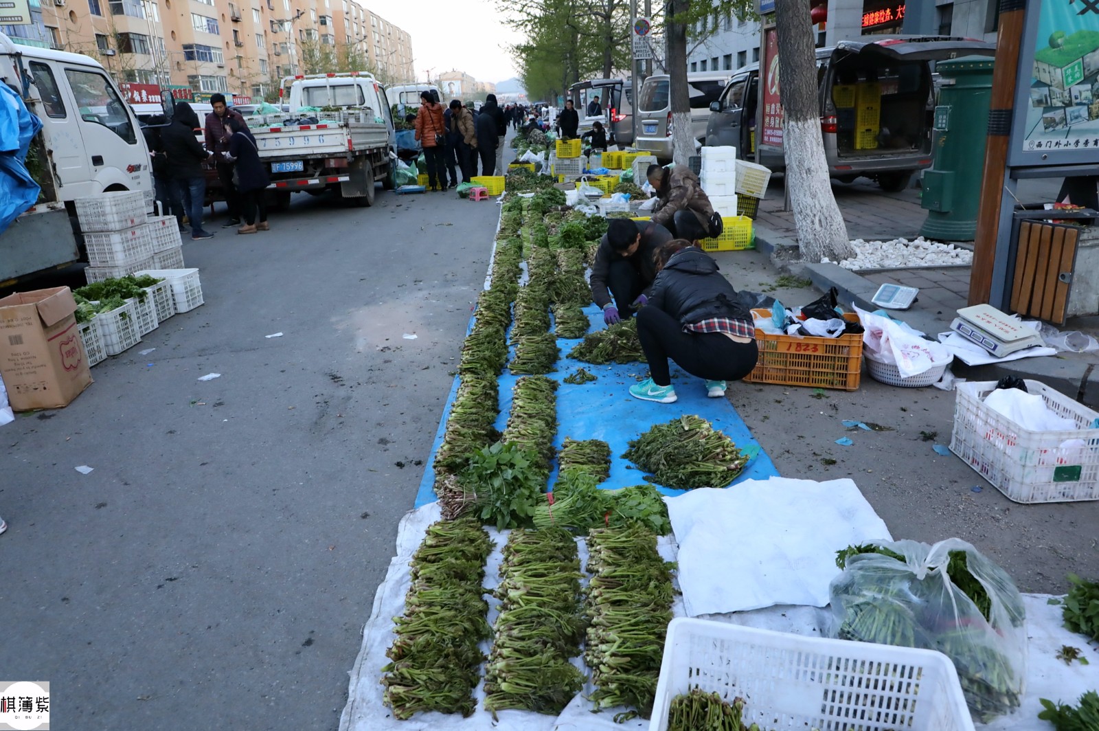 东北热闹早市野菜山珍一根6毛300元天价不愁卖