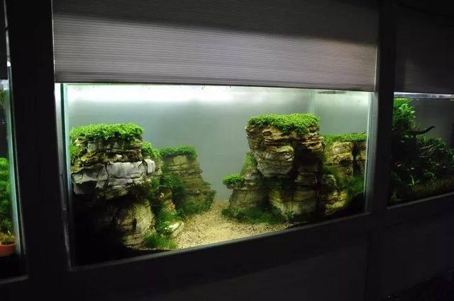 90草缸峡谷造景过程,欣赏一下