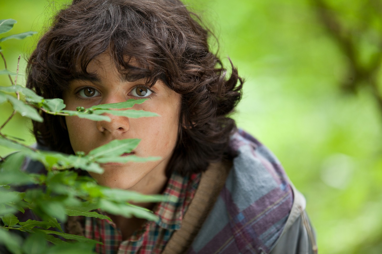 《追鹰日记》发布预告定档10月26 让·雷诺成治愈系精神导师