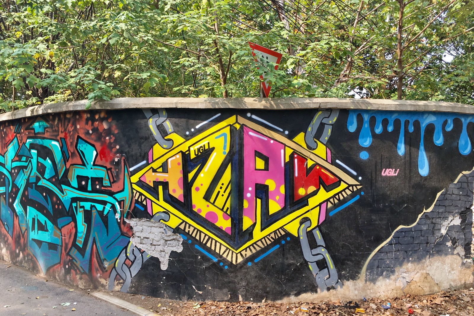 街头涂鸦04湖北武汉华中农业大学校园2