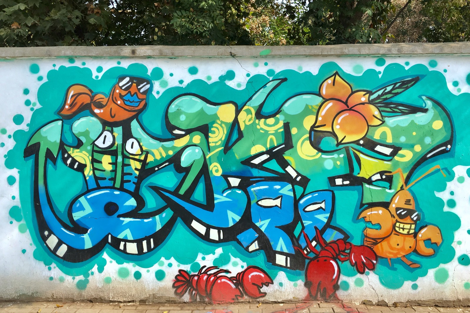 街头涂鸦04湖北武汉华中农业大学校园2