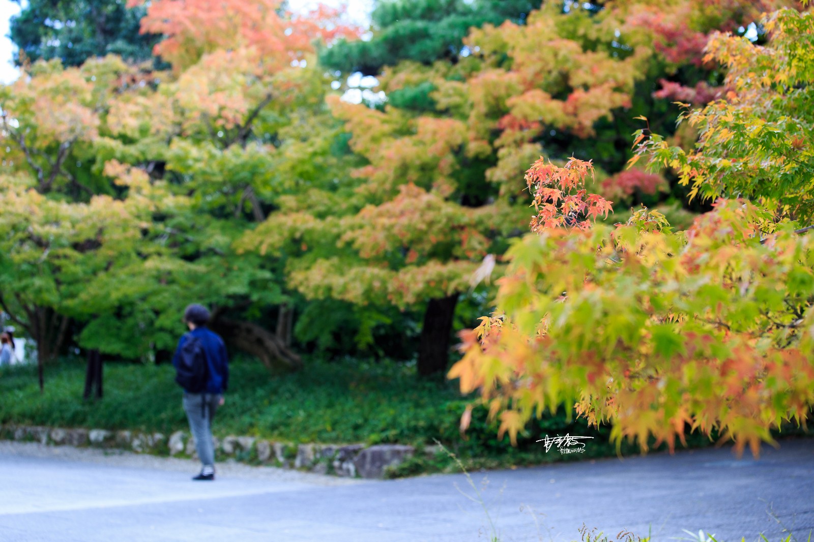 宇治不止抹茶,还有个印在10日元硬币上的地方