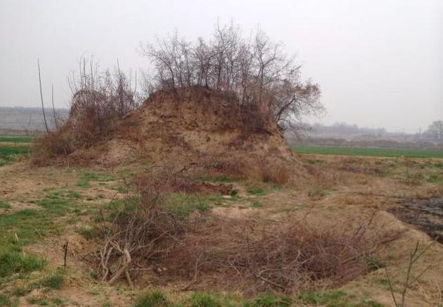 陕西一乱坟岗,考古队路过发现异常,挖开一看:是秦始皇女儿的墓