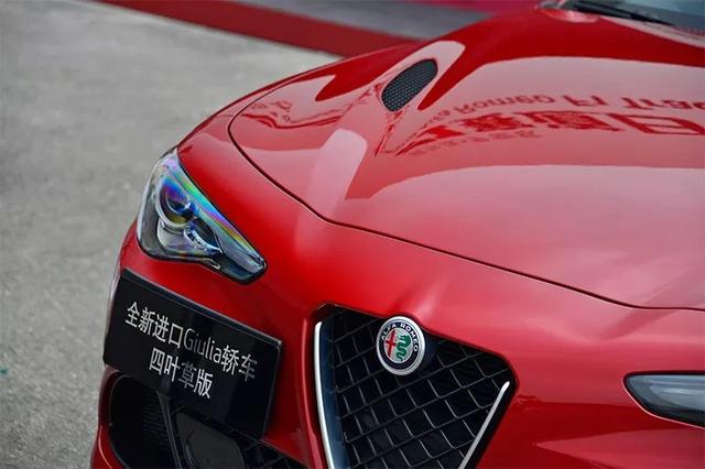 罗密欧与朱丽叶可能注定与四叶草最配