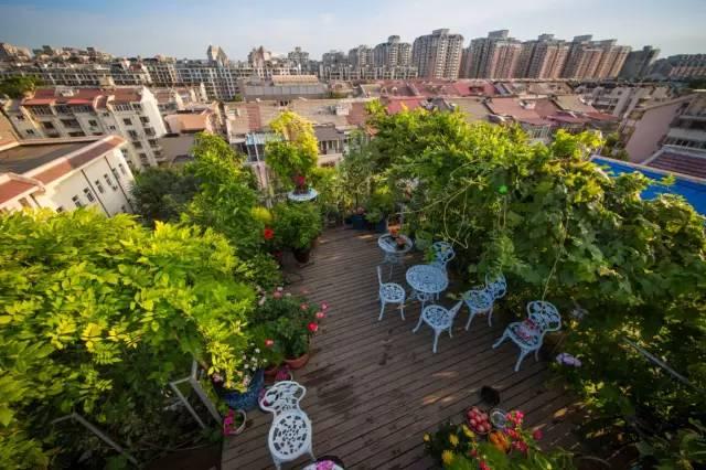 北京退休大叔,在楼顶打造了空中花园,邻居们都非常羡慕!