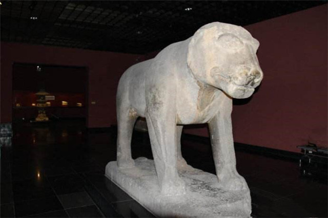 湖北发现2只唐代石虎疑似哆啦a梦它们为啥如此内敛含蓄