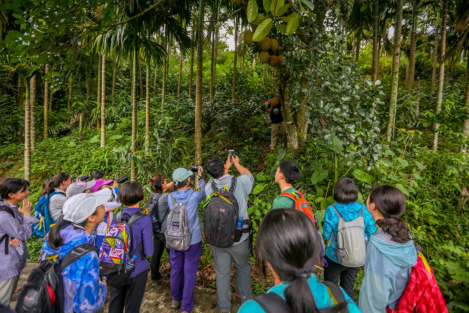 观看鸟类,识别植物,大自然成教育课堂_新浪看点