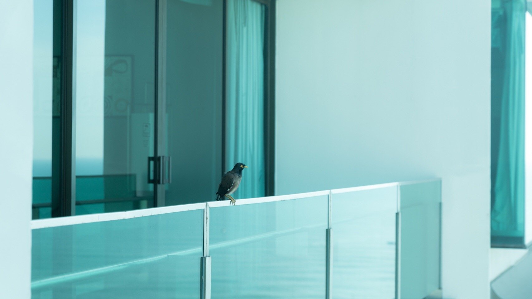 清晨起来打开窗,阳光美美哒.