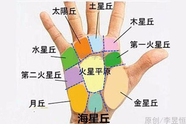 手相入门(十一)水星丘高凸红润,一生不断钱!