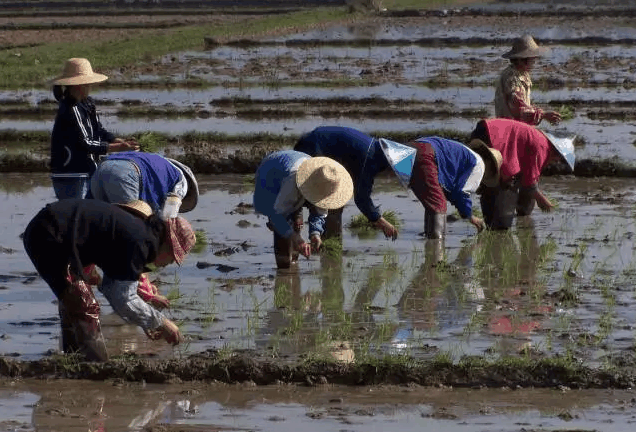 我是麻城乡下人以前我的日子是这样过的