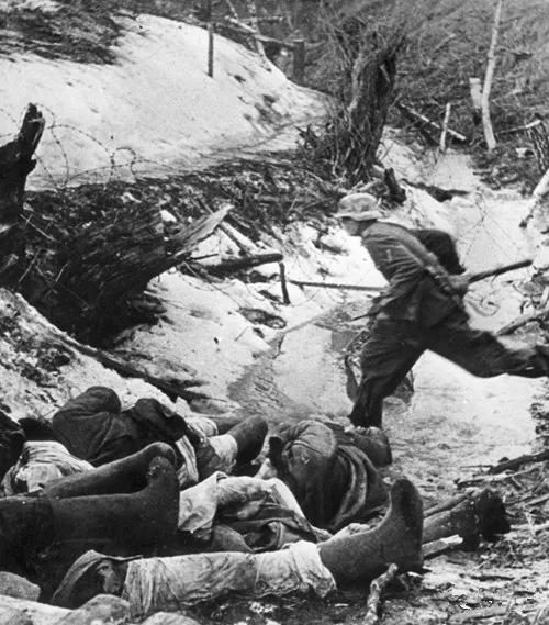 德军|阵亡|日军_新浪新闻