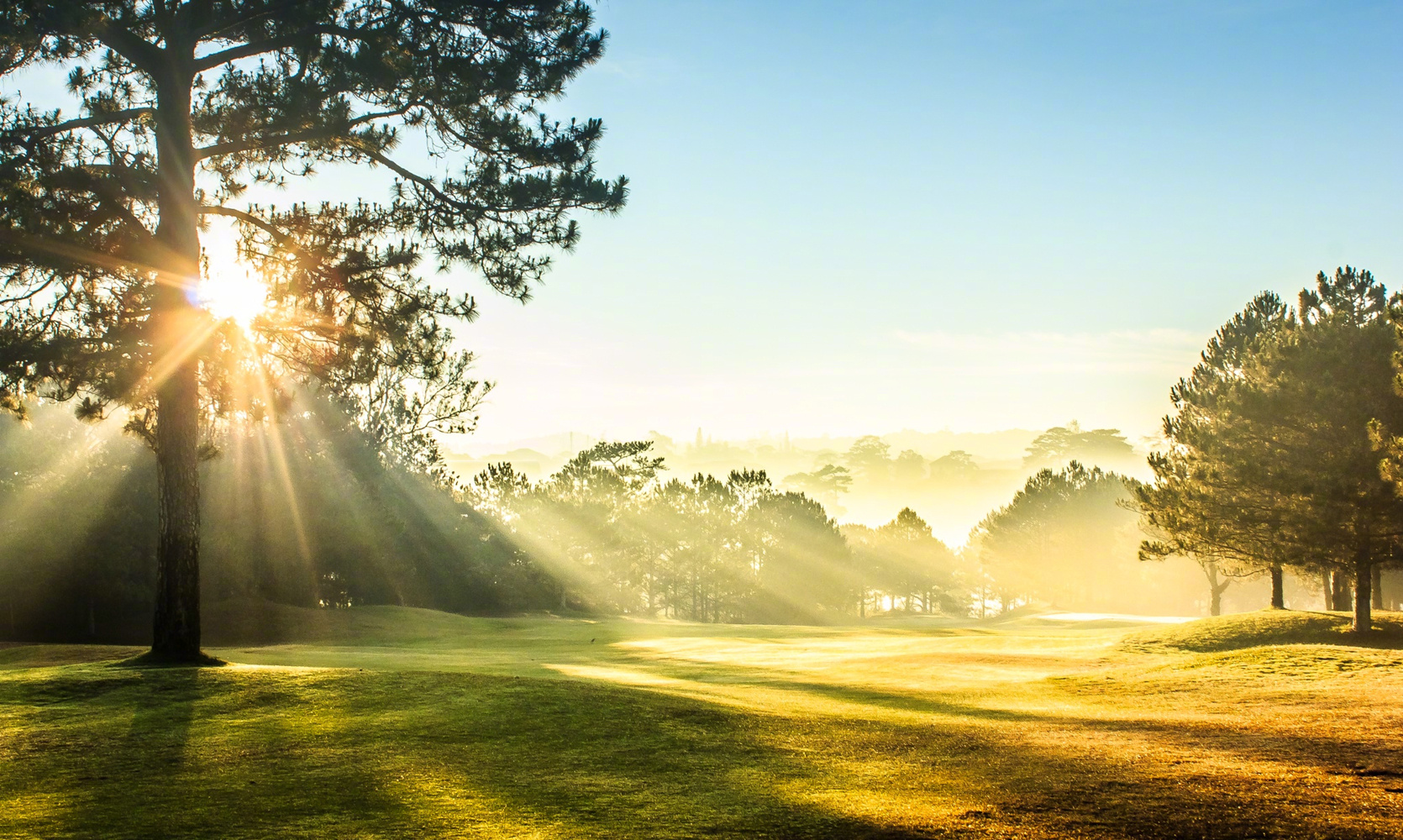 是不是迎着阳光,就不会有阴霾?是不是不再想起,就不会再有悲伤