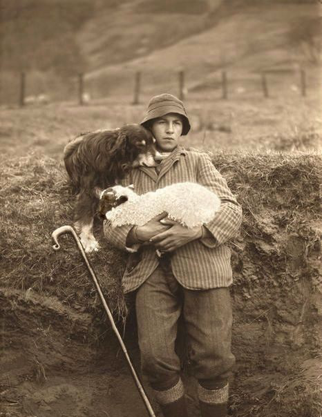 老照片里狗狗主人多喜欢自己的狗狗才会让和他们进入历史