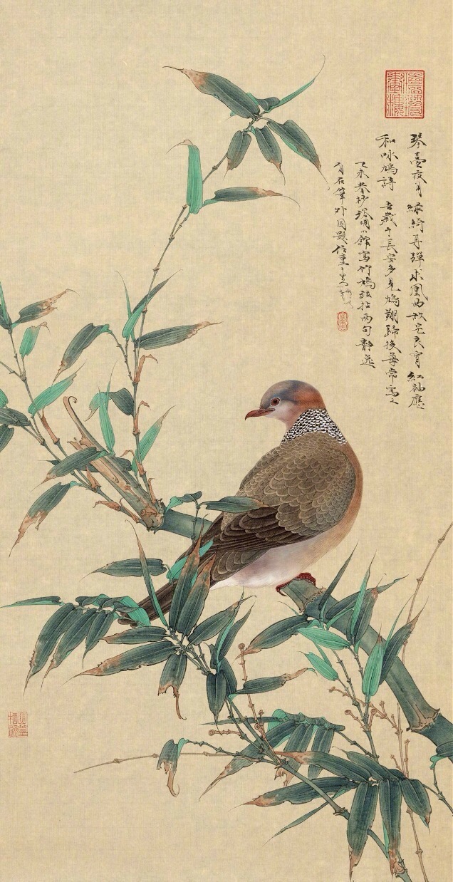 任重· 花鸟欣赏