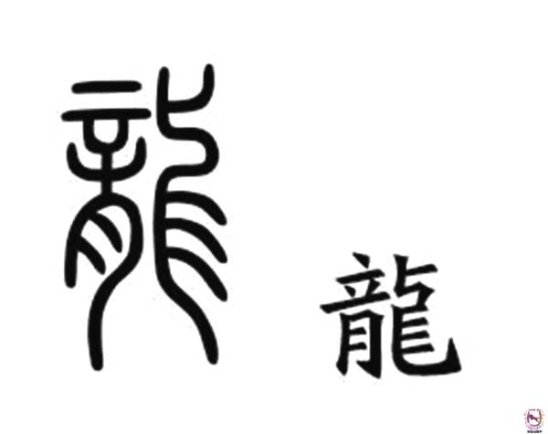 篆書的龍字和繁體的龍字藍龍瞎背部龍紋:來源自中國草書龍字的一種.