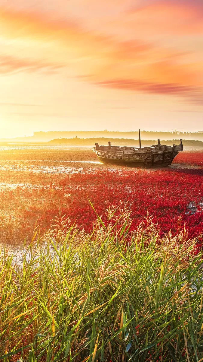 中国有片世界独一无二的红色海洋