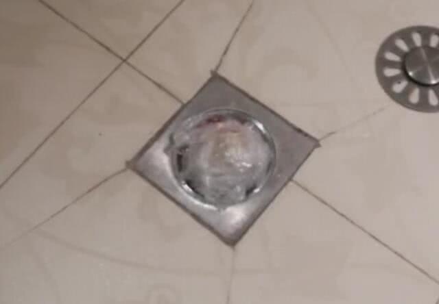 卫生间小飞虫越来越多怎么办?教你一招,家里再