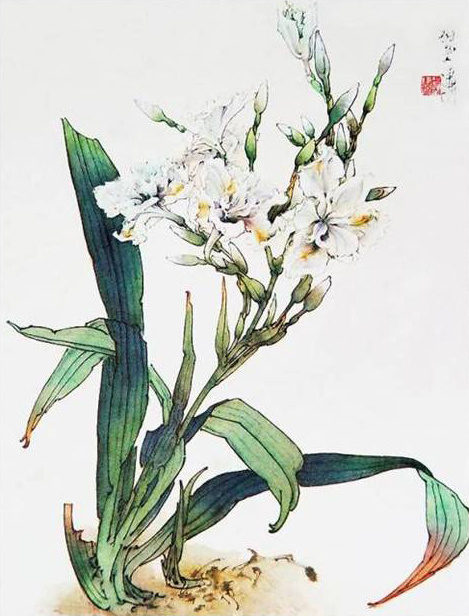 郑乃珖工笔百花画集(选)