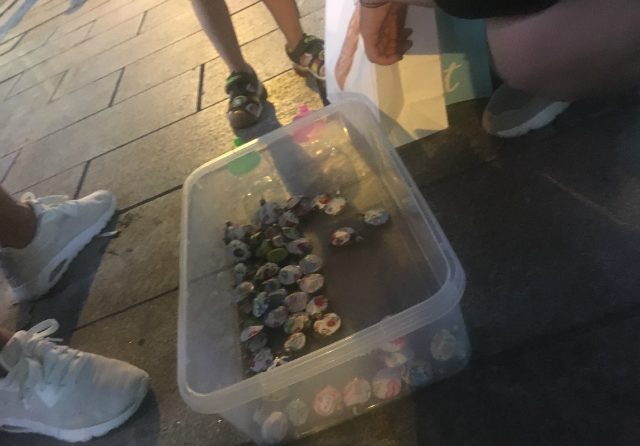 女子当街摆摊卖彩绘乌龟,造型美观,却遭到网友的一致抵触