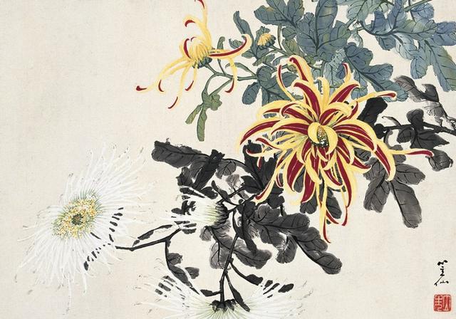 清末民初画家吴笠仙笔下的菊花
