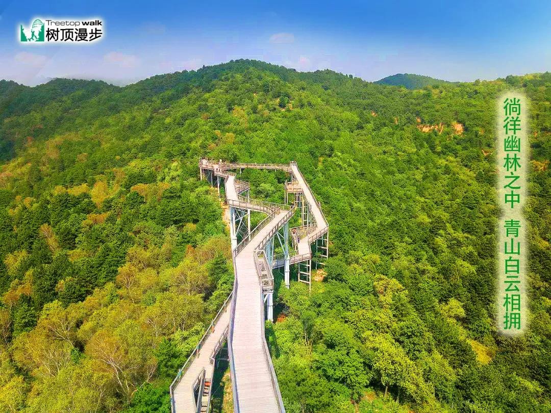 黄龙县树顶漫步自然教育科普营地被认定为"陕西省科普教育基地"