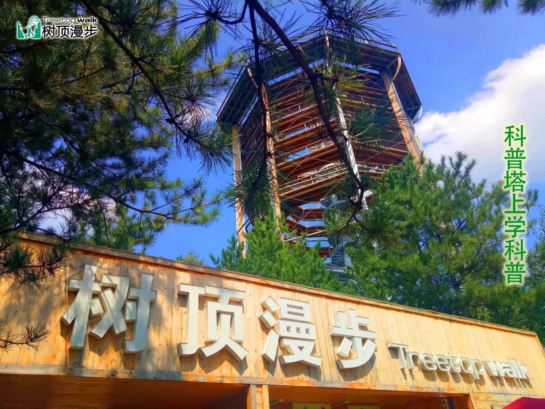 黄龙县树顶漫步自然教育科普营地被认定为"陕西省科普教育基地"