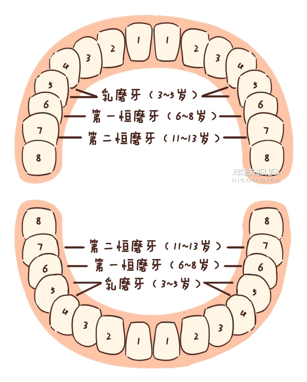蛀牙|牙齿|乳牙_新浪新闻