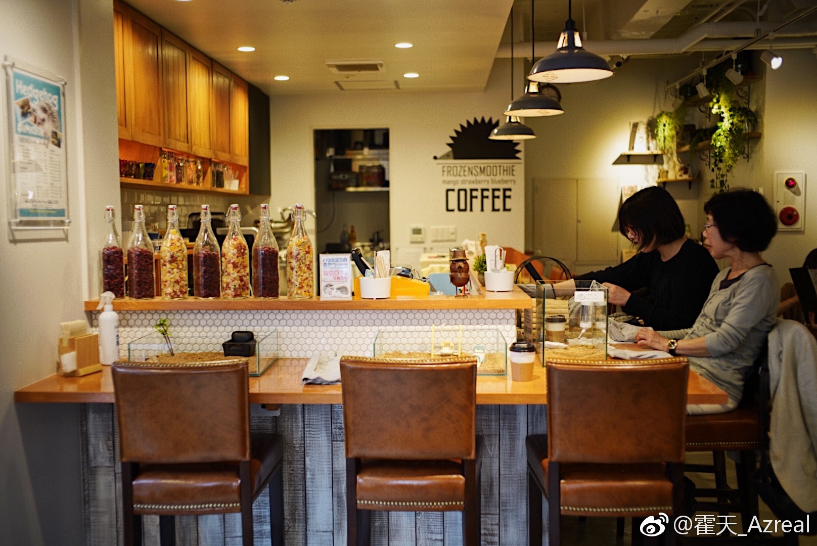 偶遇刺猬主题的咖啡吧,可以边逗刺猬边休息喝咖啡,真享受