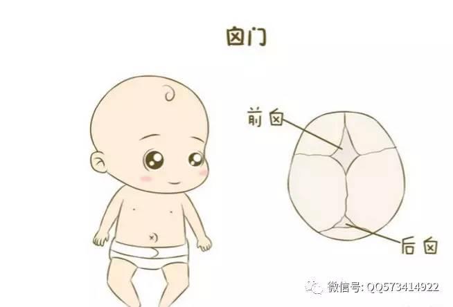宝宝的囟门比你想象中的还重要