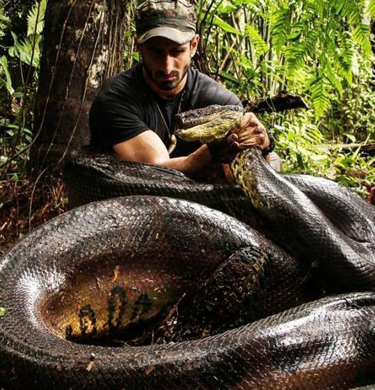 31岁男子养2.4米蟒蛇,饲养7年后,自己变成它的食物