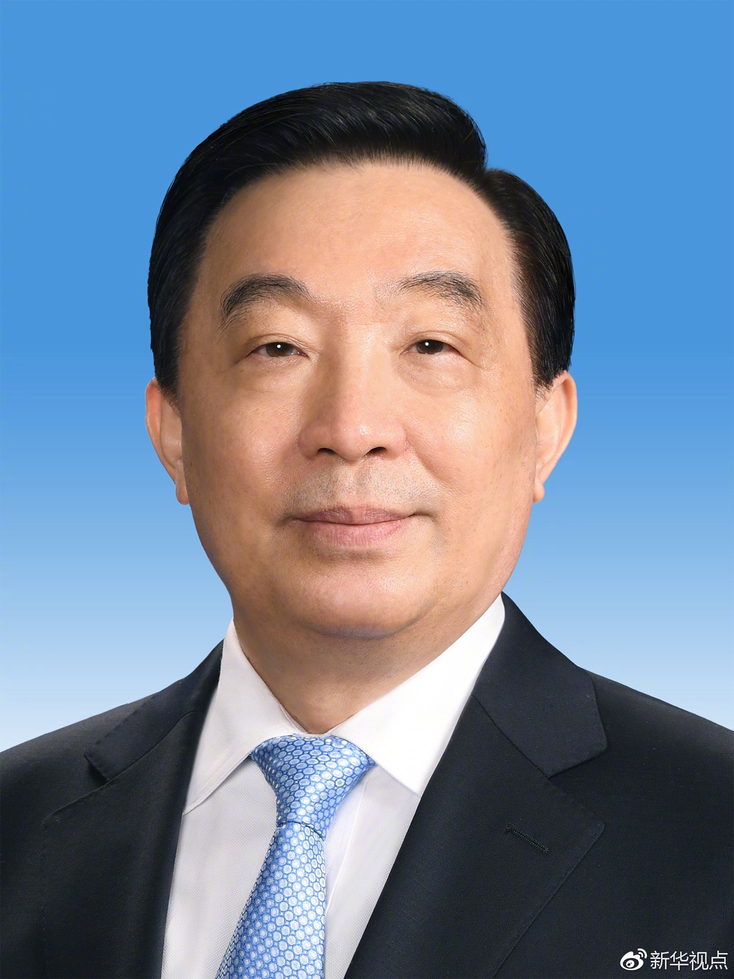 第十三届全国人民代表大会常务委员会副委员长、秘书长简历