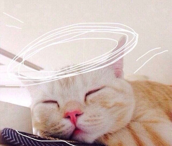 每天都想睡懒觉