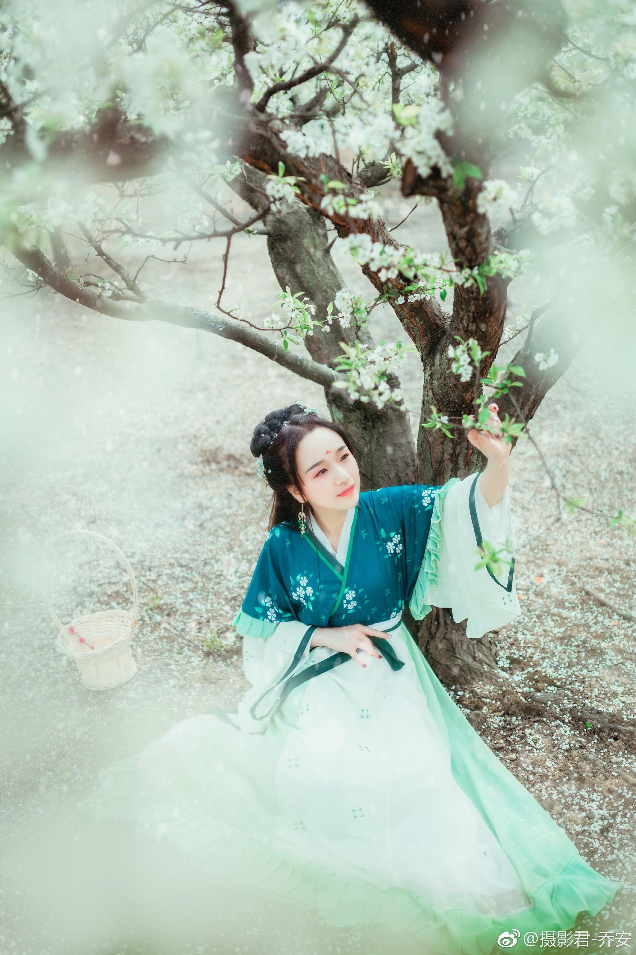 梨花落|乔安|摄影|古风_新浪新闻