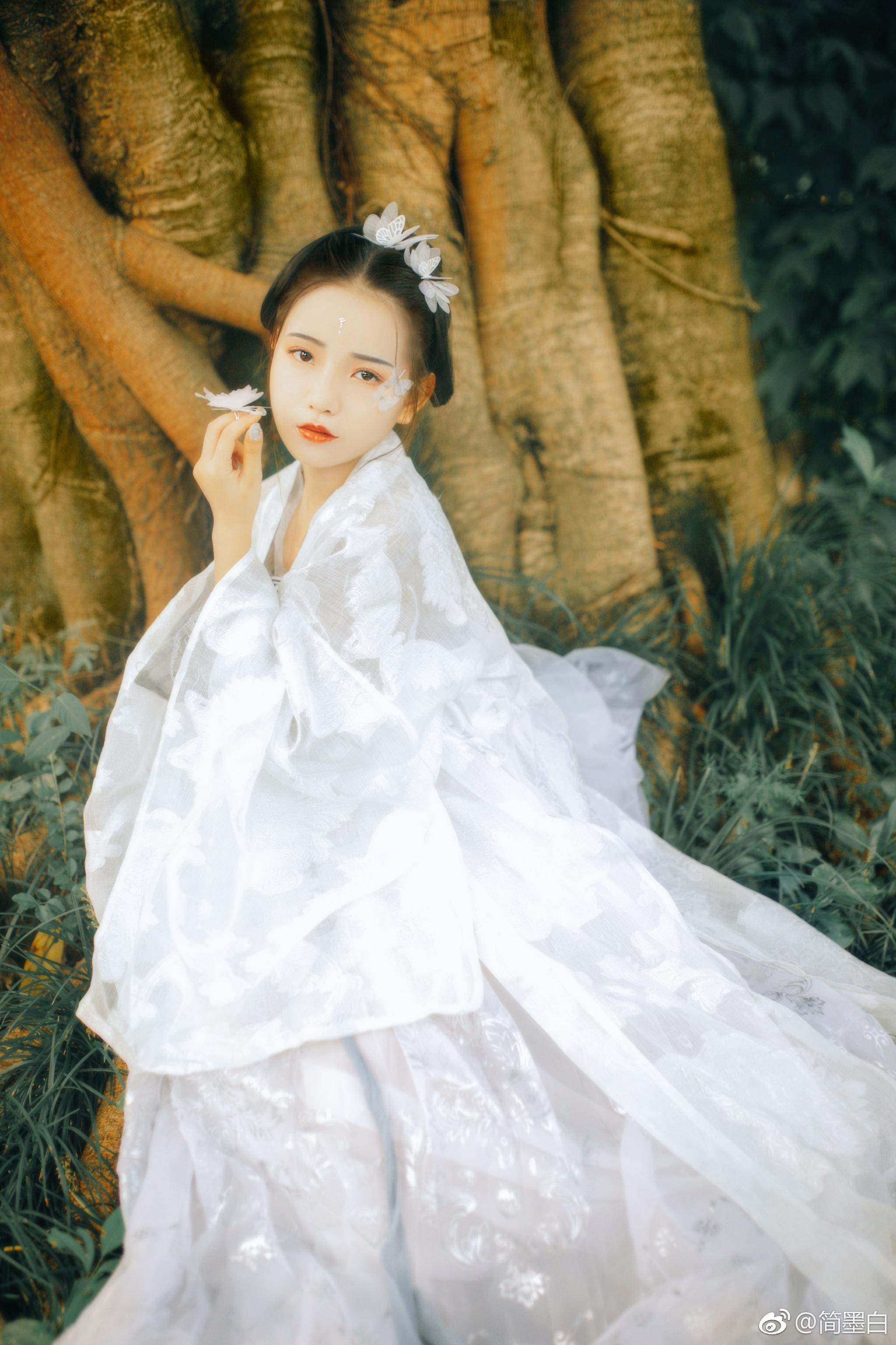 梦蝶  cr@简墨白