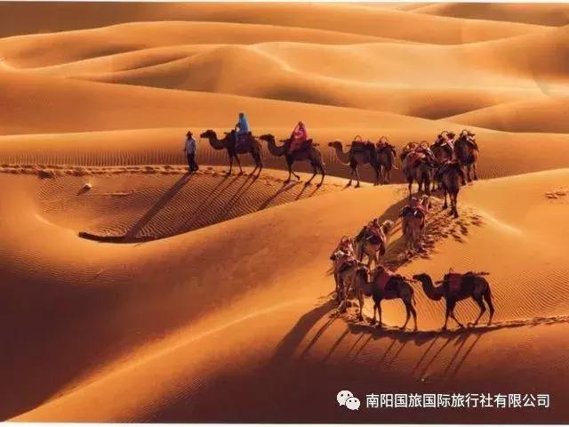 977~ 快报名去青海:南阳电台交通广播这几名男