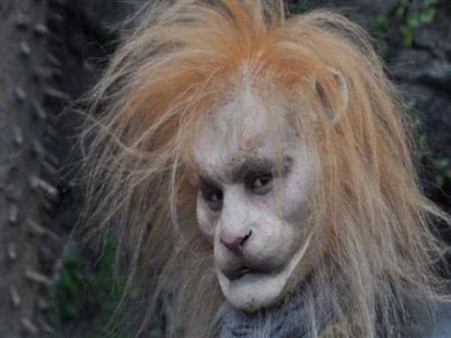 西游记:为何城中皇子不知黄狮精存在?他是善是恶?结局可怜!|沙僧|银子