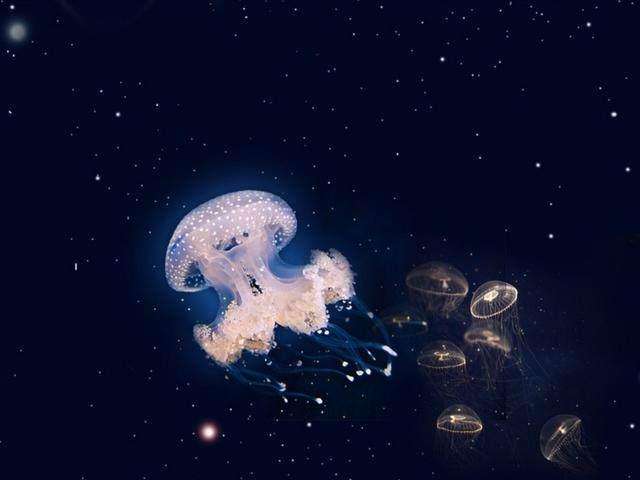 氨基生命体, 宇宙中可能存在的另外一种生命|氨基|生命体|生命|宇宙|星球_新浪新闻
