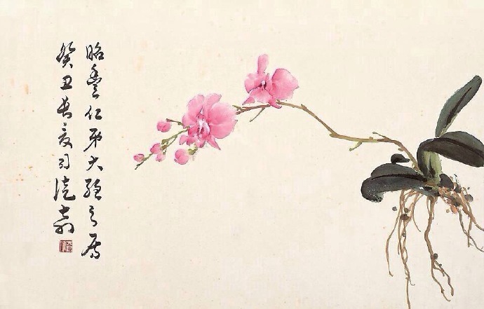司徒奇 · 花鸟欣赏 …|花鸟|司徒奇_新浪新闻