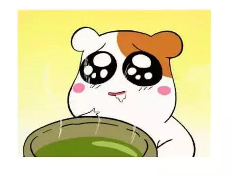 小奶猫出生自带美瞳,黑溜溜的大眼睛太萌,网友表示血槽已空