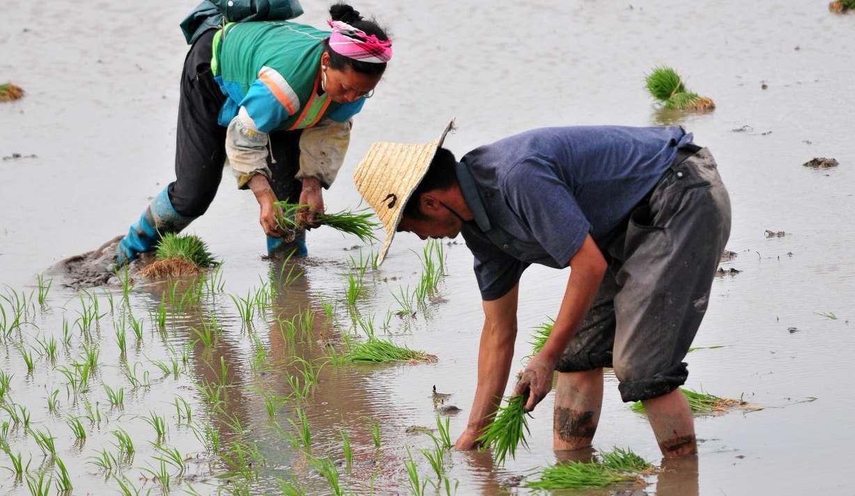 日夜操劳什么意思 辛苦完成的项目怎么表达